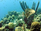 Curacao 04-12 237